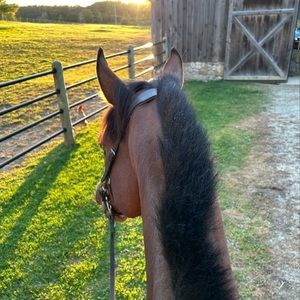 Meet your Posher, Anna